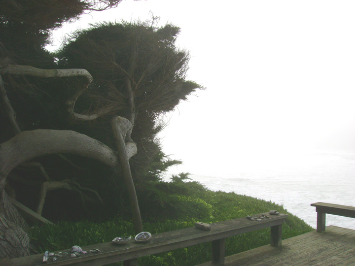 1 cliff_garden_to_south